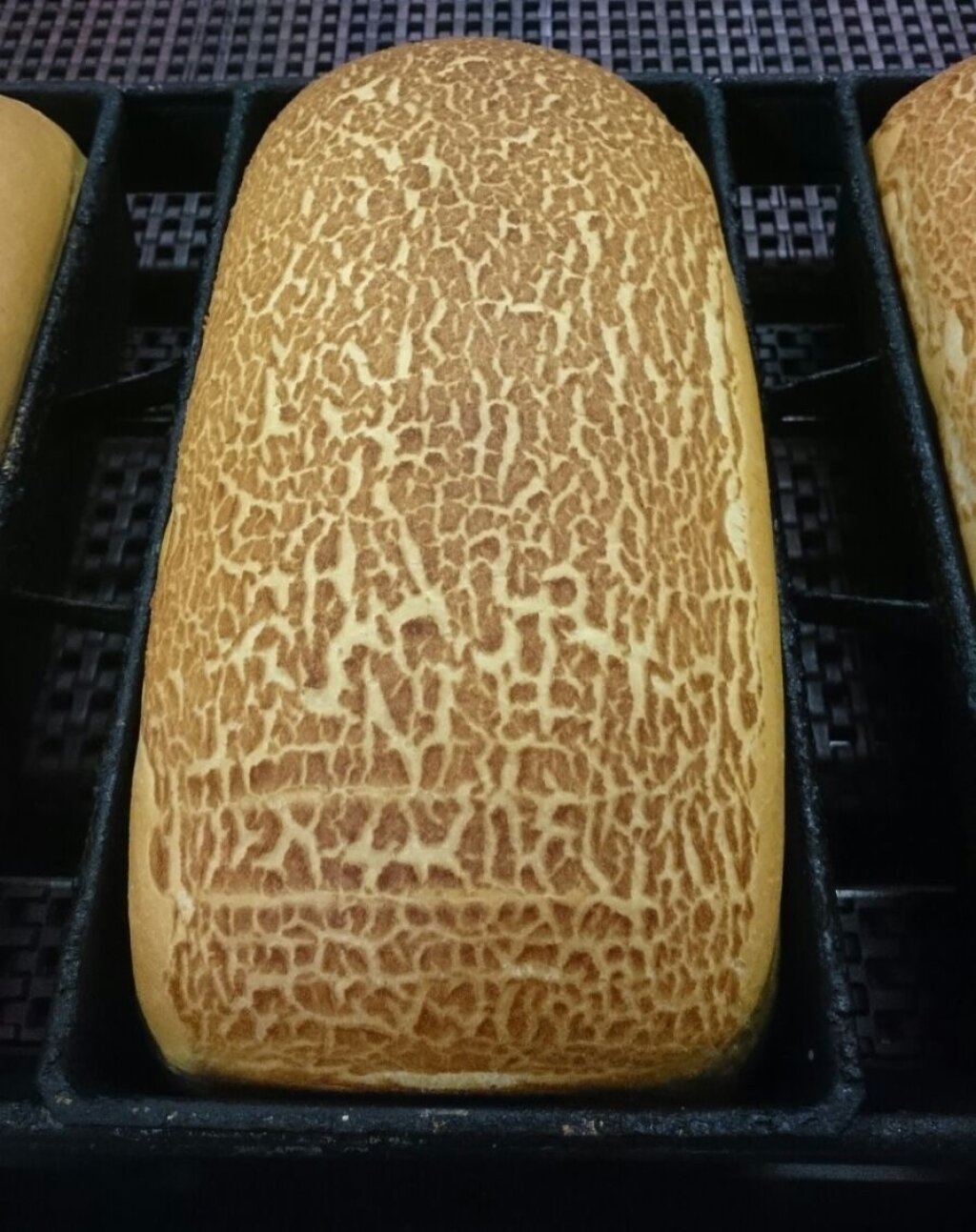 Tiger bread loaf in a baking tin with a crackled, spotted crust